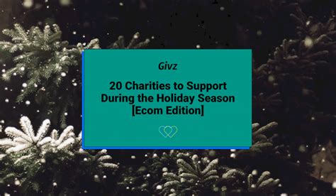 20 Charities to Support During the Holiday Season .